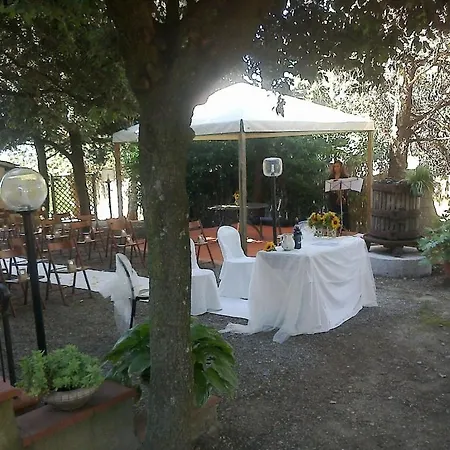 I Leoni
